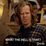 Frank Gallagher - what the hell is that.gif