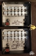 Low-res - Thermionic BE-OD Deluxe - 02.jpg
