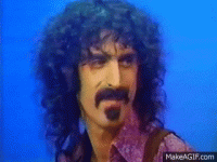 Frank Zappa.gif