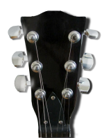first_act_headstock_01.png