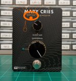MARY CRIES - comp PRS.jpg