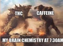My brain chemistry at seven thirty am.jpg