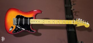 Fender Strat - EMG DG20.jpg